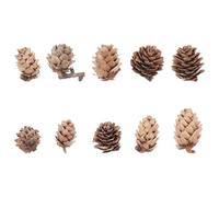 100 Pièces Pommes de Pin Séchées Décoratives, Lot DIY, Marron
