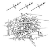 100 Pièces Rivet Aveugle à Dôme à Grande Tête, 4.8 x 16mm Rivets Aveugles en Aluminium avec Large Bride, Rivets Pop en Aluminium à Tête Large, pour Meubles, Tôle, Véhicules, Equipements Mécaniques