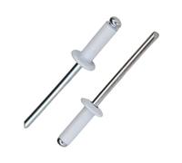 100 Pièces Rivets Aveugles Alu, Blanc Rivet Plaque Immatriculation