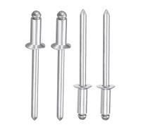 100 Pièces Rivets Aveugles Fraisés Fer, 4,8X16mm Extrémité Ouverte Rivet Plaque Immatriculation pour Meubles, Métal, Bois, Jardins Hiver, Réparation Carrosserie, Moto, Boîtier Appareil