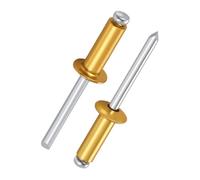 100 Pièces Rivets Aveugles Or 4mm, Alu Rivet Plaque Immatriculation