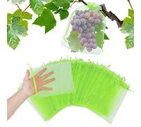 100 Pièces Sachet Protection Raisin, Jardin Plant Fruits Protection Sac, Cordon Filet Sac Insectes, Sac De Protection Fruits, Jardin Protéger Sacs pour Potéger Les Grappes Frelons Et des Oiseaux