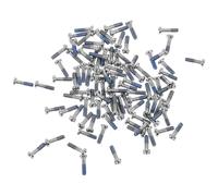 100 Pièces Vis pour Lunettes en Acier Inoxydable, Petites | Filetage Tête Plate, Sachet Pratique, pour Optique et Montres, Dépannage Rapide en Déplacement