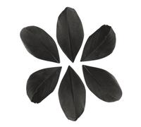 100 Plumes Coupées - Noir 6 Cm
