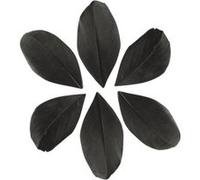 100 plumes coupées - Noir 6 cm Noir G