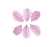 100 plumes coupées - Rose pâle 6 cm