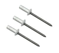 100 Rivets Aveugles Étanches, Rivets D'étanchéité Aluminium 3,2mm 4,0mm, Rivets Anthracite for Caniveaux de Drainage, Toitures en Tôle Ondulée, Réparation de Serres(3.2X10.0mm)