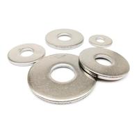 100 rondelles plates épaisses et larges en acier inoxydable 304, de dimensions M2.5 à M16 Pour Vis(M12 100pcs)