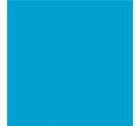 100 serviettes cocktails biodégradables 20 x 20 cm (Turquoise)