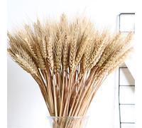 100 Tiges 21.7 Pouces Fleurs De Blé Séchées, Naturel Bouquet Épis De Blés, Grandes Gerbes Blé Séchées Dorées, Décoration d'automne, pour Vase, Couronne, Bricolage, Mariage
