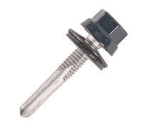 100 Vis bac acier - plage - support métal IPN - TH12-5,5x32mm - RAL9006 - SCELL-IT - ZTPR-55032-9006
