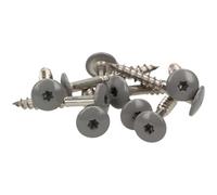 100 vis de façade MEISTERLING® en acier inoxydable V2A 4,8 x 25 mm à tête plate Torx T20 gris foncé + 1 embout