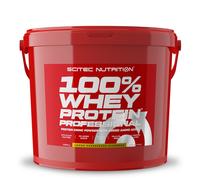 100% Whey Protein Professional - Lemon Cheesecake 5000g