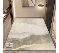 100 x 140 cm Paillasson D'entrée Pour Intérieur Et Extérieur, Tapis Modernes À Bordure Avec Envers Antidérapant, Faciles À Nettoyer, Tapis De Sol Doux À Poils Courts Pour Salon, Cuisine Et Chambre