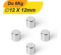 100 x plaque magnétique néodyme aimant rond super aimant fort petits aimants plats aimants 12x12