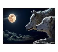 1000(50x70cm)-Piece Adult Puzzle, Animal World Moonlit Night Two Wolves Puzzle, Brain-Teasing Game Intellectual Challenge Toy for Teenagers and Children