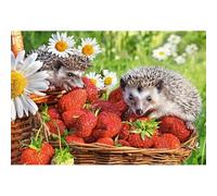 1000(75x50cm) pièces de Puzzles pour Adultes, Deux Petits Puzzles pour Enfants d'animaux de hérisson, Jouets intellectuels pour Adolescents