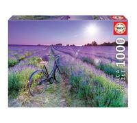 1000 Bicileta Campo Lavanda