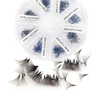 1000 éventails/500 pièces Extensions de cils volume 5D 10D 20D prêtes à l'emploi, plateau mixte. Extensions de cils en éventail prêtes à l'emploi C Curl. Éventails de cils pointus faits main prêts à l