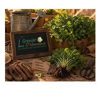 1000 graines Aromatiques à semer - Le Grenier d'Abondance - CRESSON Alénois commun - Lepidium sativum
