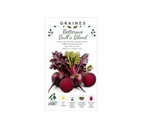 1000 graines de betterave bull's blood (beta vulgaris)