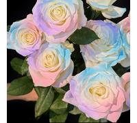 1000 Graines De Roses Colorées, Couleurs Variées, Graines De Fleurs, Habillez Le Jardin,D