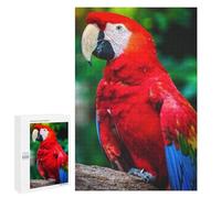 1000 PCS Puzzle pour Adolescents Red Yellow and Blue Parrot Puzzles pour Adultes Jeu Manuel Assemblage De Motifs Cadeaux Uniques pour Anniversaire Et Noël 1000 PCS