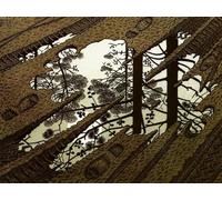 1000 Pcs Puzzles, M C Eschers Art Geometrys, Abstract Art Posters Jigsaw, Jeux De Mémoire pour Adultes Jouets Anti-Stress pour Toute La Famille Wy272Zq