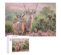 1000 PCS Puzzles pour Adolescents Two Red Deer in A Field Casse-têtes pour Adultes, Jeux De Réflexion, Analyse Et Logique, Cadeaux De Noël Et d'anniversaire 1000 PCS