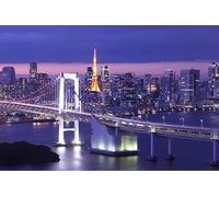 1000 Piece Jigsaw Puzzle for Adults - Family Game Stress Reliever Difficult Challenge Puzzle for Adults Kids Bridges Japan Tokyo (38x52cm)