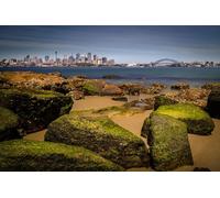 1000 Piece Jigsaw Puzzles for Adults | Family Fun Jigsaws Puzzles 1000 Pieces for Adults Gifts Coast Bridges Australia Sydney (26x38cm)