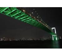 1000 Piece Jigsaw Puzzles for Adults & Kids Age 10 Years Up Bridges Japan Tokyo Rainbow Bridge (50x70cm)