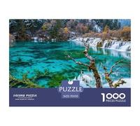 1000 Pièce paysages naturels Jeu Éducatif Parc National Torres Del Paine Puzzle Adulte Cadeau Stimulant Puzzle Difficile Décoration Familiale Adultes Et Enfants Dès 14 Ans 70x50cm/1