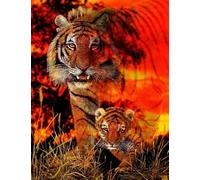 1000 Pièces - Animal Tigerss Posters - Puzzle d'art Irrégulier - Jouet Puzzle Amusant pour Adultes sur La Maladie D'Alzheimer - Jeux De Réduction du Stress en Famille Zx224Ap