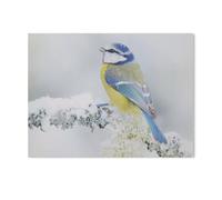 1000 Pièces Bricolage Puzzles，Scène Sauvage: mésange Bleue dans la forêt, Flocons de Neige et Une Belle Branche de Lichen，Enfants Divertissement Décoration De La Maison Cadeau Peinture Noël-I71