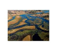 1000 Pièces De Casse-tête Drôles，dans Le Delta de l’Okavango à Bukwi Island，Adultes Puzzle en Bois Image, Jouets Décontractés Très Difficiles pour Adultes Et Adolescents（75x50cm）-AS76