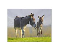 1000 Pièces De Casse-tête Drôles，Mignon Petit âneau Gris et sa mère dans Une Prairie Fleurie，Adultes Puzzle en Papier Image, Jouets Décontractés Très Difficiles pour Adultes Et Adolescents-H64