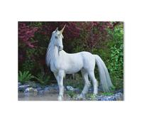 1000 pièces de Puzzle en Papier，Licorne Blanche Mythique，Jouets éducatifs pour Adultes et Enfants Jeu de Puzzle（50x70cm）-T48