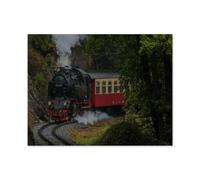 1000 Pièces De Puzzle pour Adultes Et Enfants，Locomotive à Vapeur Historique dans Les Montagnes Harz，1000 Comprimés pour Adultes Jeu Familial De Décompression Parent-Enfant（50x70cm）-E7