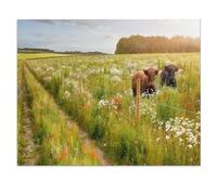 1000 Pièces De Puzzle pour Adultes Et Enfants，Prairie Fleurie avec Deux Belles Vaches et Un Chemin，1000 Comprimés pour Adultes Jeu Familial De Décompression Parent-Enfant（75x50cm）-X87