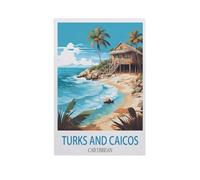 1000 Pièces De Puzzle pour Adultes Et Enfants,Turks et Caïcos, Caraïbes,1000 Comprimés pour Adultes Jeu Familial De Décompression Parent-Enfant(50x70cm)-GD79