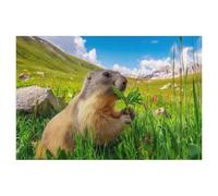 1000 Pièces De Puzzle pour Adultes Et Enfants，Un Endroit à Manger Merveilleux，1000 Comprimés pour Adultes Jeu Familial De Décompression Parent-Enfant（50x70cm）-AM81