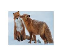 1000 Pièces De Puzzle pour Enfant，2 Renards dans la Neige，Abstraites Jouets Jeux Amusants Papier Grand Cadeau Éducatif pour Les Enfants（50x70cm）-J77
