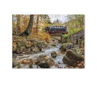 1000 Pièces De Puzzles en Bois，Chemin de Fer du Brocken，Jeu De Jouets pour Enfants Adultes - Classique Dessin Puzzle Occasionnel Éducation（75x50cm）-AB30