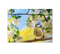 1000 Pièces De Puzzles en Bois，Printemps: mésange Bleue perchée sur Une Branche de Pommier en Fleurs，Jeu De Jouets pour Enfants Adultes - Classique Dessin Puzzle Occasionnel Éducation（75x50cm）-I74