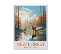 1000 Pièces De Puzzles en Papier,Parc National de New Forest, Angleterre, Coucher de Soleil,Jeu De Jouets pour Enfants Adultes - Classique Dessin Puzzle Occasionnel Éducation(38x26cm)-DV5