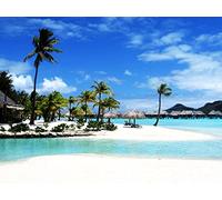 1000 Pièces Jigsaw Puzzle - Idéal pour Un Cadeau-Bora, Bora, île, Palmiers, Arbres, 70x50cm