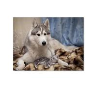 1000 Pièces Jigsaw Puzzles Set pour Les Adulte Puzzle en Bois，Chien Husky de Sibérie et Chaton，Développer Patience Focus Réduire Pression（75x50cm）-O38