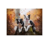 1000 Pièces Jigsaw Puzzles Set pour Les Adulte Puzzle en Papier，2 Border Collies Heureux，Développer Patience Focus Réduire Pression（50x70cm）-M88