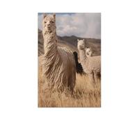 1000 Pièces Jigsaw Puzzles Set pour Les Adulte Puzzle en Papier，Alpaga dans Les Andes péruviennes，Développer Patience Focus Réduire Pression（50x70cm）-AR21